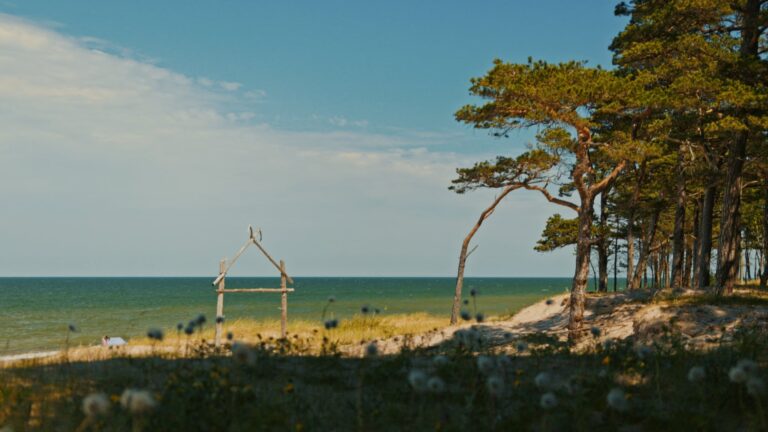 inbound3597875387048750887 768x432