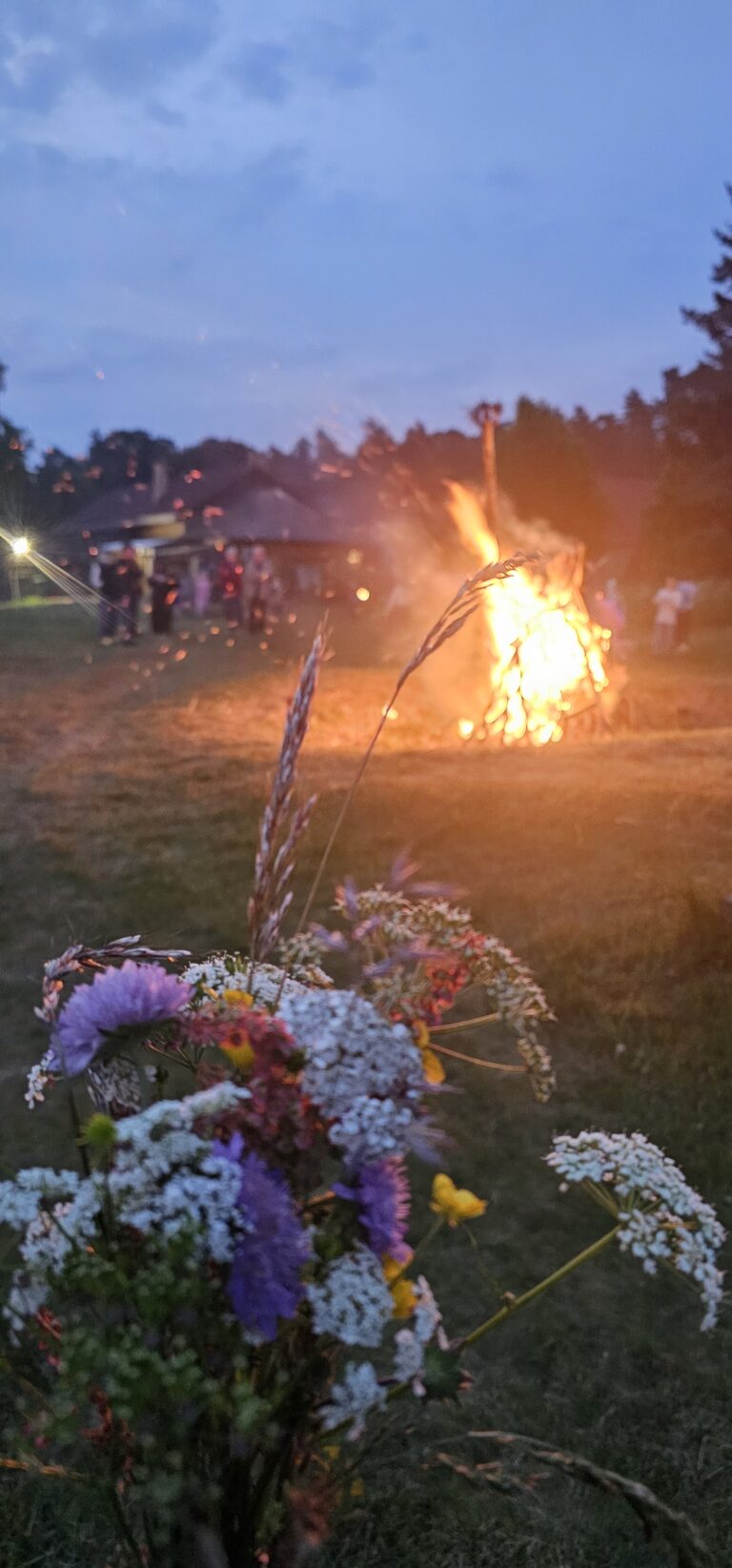 inbound3946877272430478606 768x1645