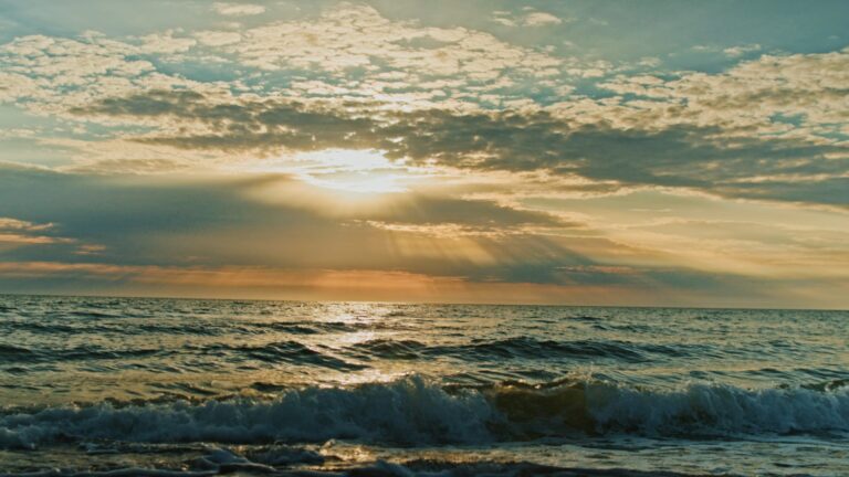 inbound6793462924111673022 768x432