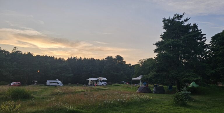 inbound9173230095584399212 768x389